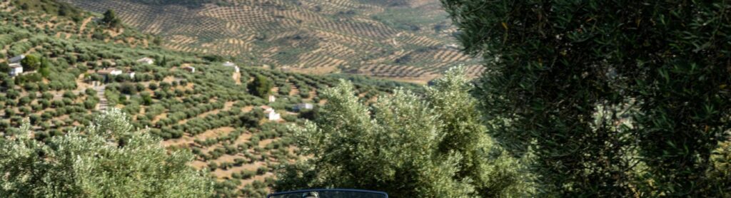 Discover Sicily Magneto